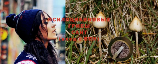 эйфоретик Нефтегорск