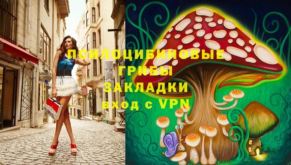 Альфа ПВП Нефтекумск