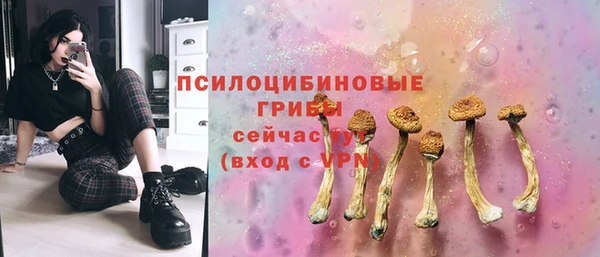 Альфа ПВП Нефтекумск
