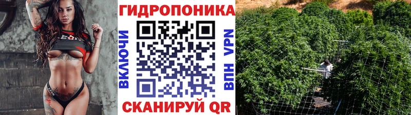 Шишки марихуана Amnesia  Чайковский 